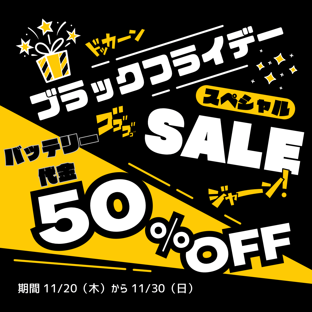 ブラックフライデー限定キャンペーン